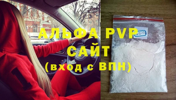 ECSTASY Горняк