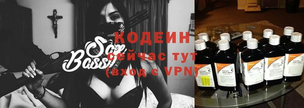 ПСИЛОЦИБИНОВЫЕ ГРИБЫ Вязники