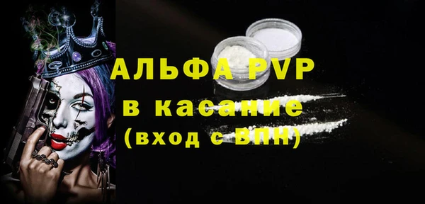 ПСИЛОЦИБИНОВЫЕ ГРИБЫ Вязники