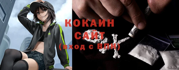 ПСИЛОЦИБИНОВЫЕ ГРИБЫ Вязники