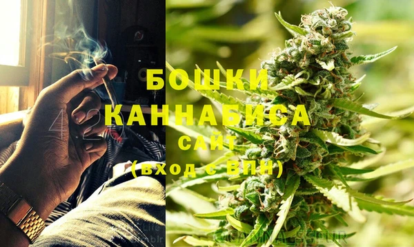ПСИЛОЦИБИНОВЫЕ ГРИБЫ Вязники