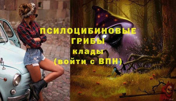 кокаин Вяземский