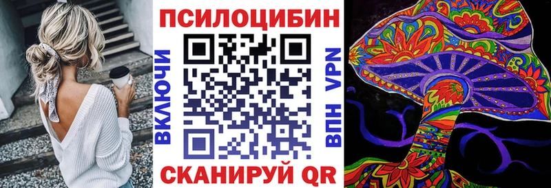 нарко площадка какой сайт  дарнет шоп  Ладушкин  Галлюциногенные грибы мицелий  omg ТОР 